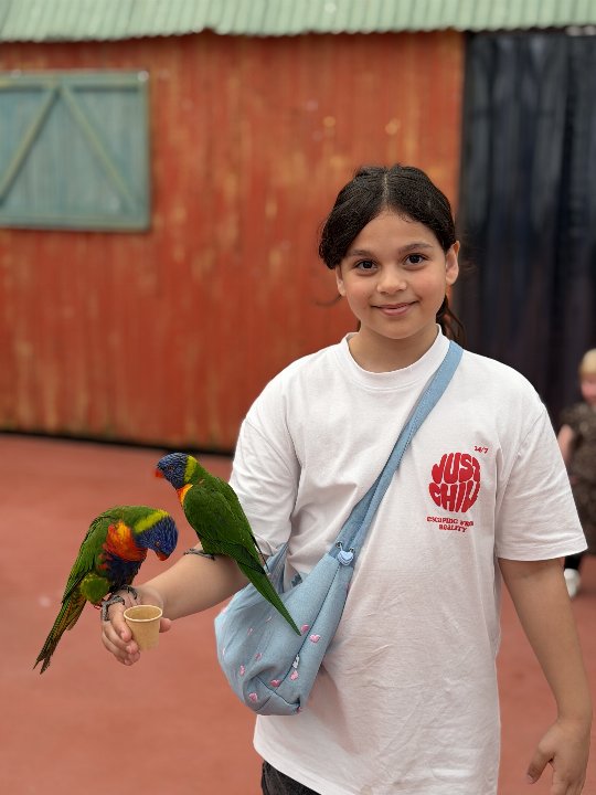 Eendjes voeren Pantropica